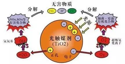 新房如何科学的去甲醛,网传新房去甲醛方法真的有效吗