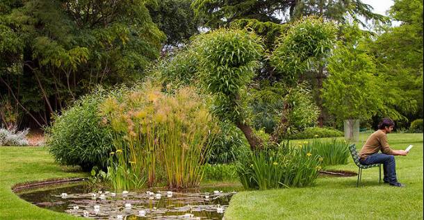 「花园集分享」野风系澳大利亚园林景观设计简析