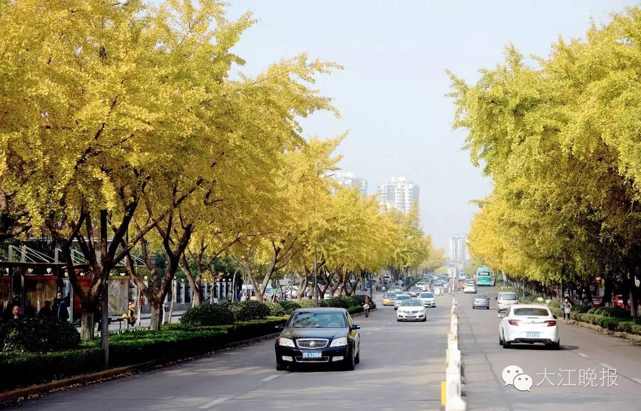 「围观」赶紧去九华山路看看吧！别人早就去过了！