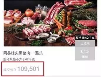 丁磊养猪成功案例,丁磊养猪的10个秘诀