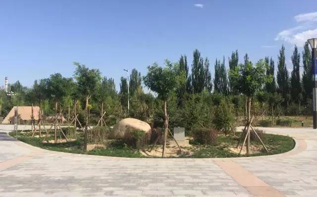 包头市新建体育公园,包头体育公园开始建了吗