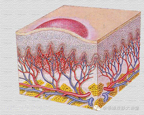 婴幼儿血管瘤敷滴眼液,婴幼儿面部血管瘤专家