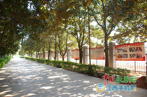 九江金安高级中学校园文化建设上档次显品味