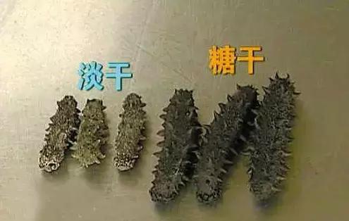 市场上600至1000元一斤的海参,低价即食海参内幕