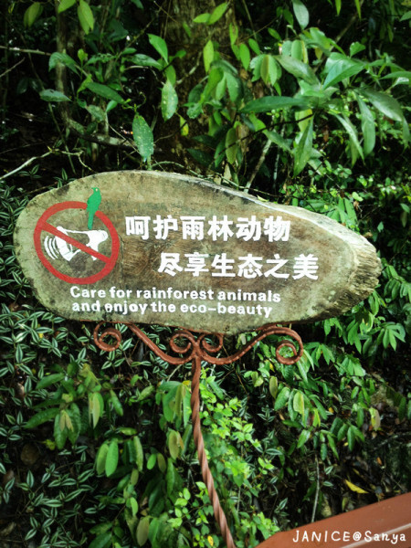 森林氧吧游玩攻略,宝界森林公园游玩攻略