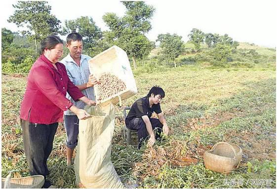 8090后的回忆你们经历过吗,8090共同的回忆完整视频