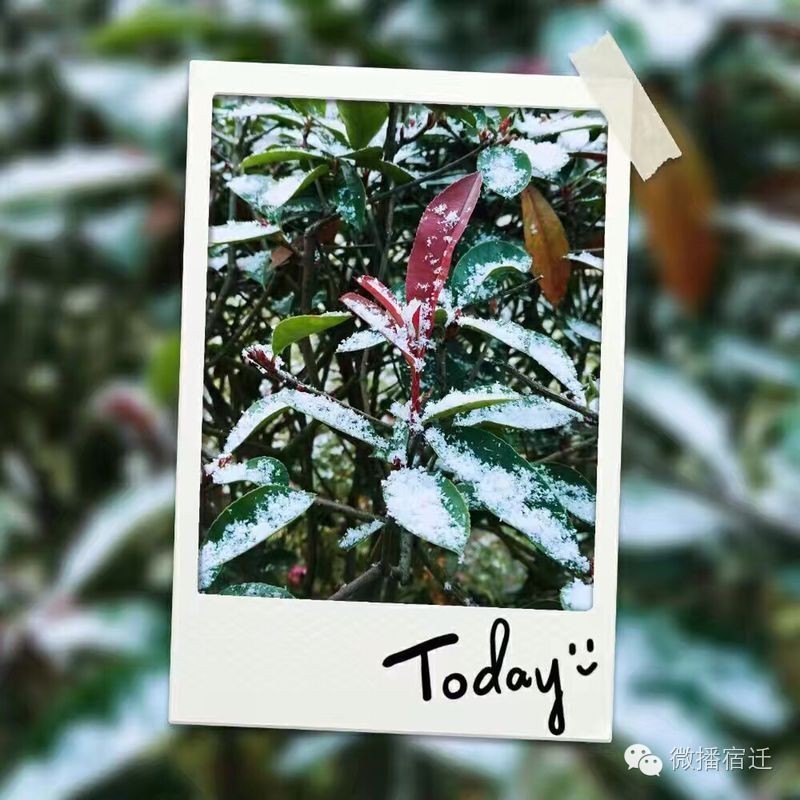 雪中宿迁，素颜都美到窒息！