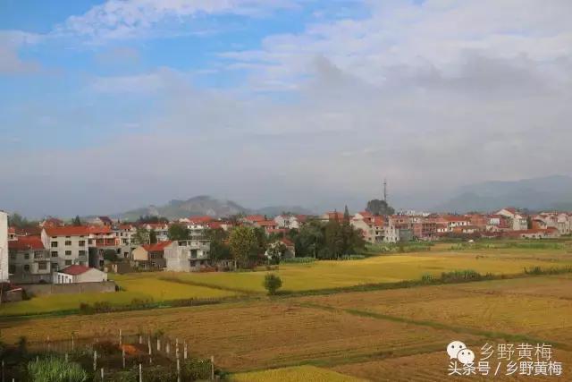 难忘大青山,难忘中学