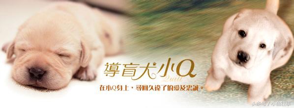 这些年让我感动流泪的电影