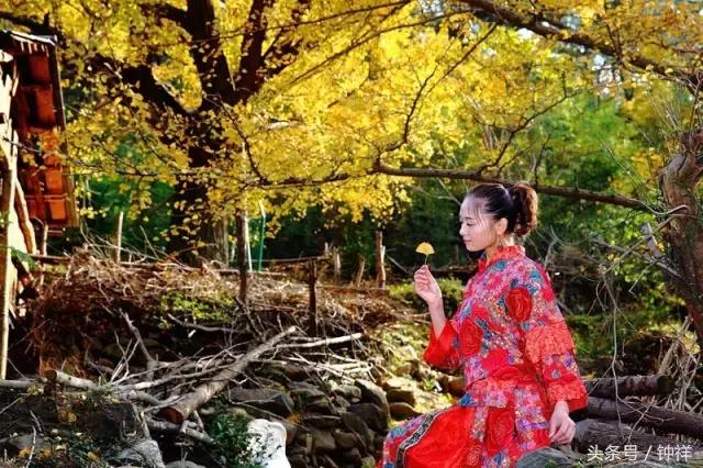 钟祥还能不能去,对不起我要离开了文章