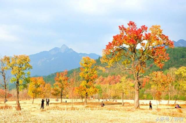 钟祥还能不能去,对不起我要离开了文章