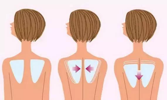 脖子粗的女人怎么瘦脖子,怎样练脖子又长又细又好看