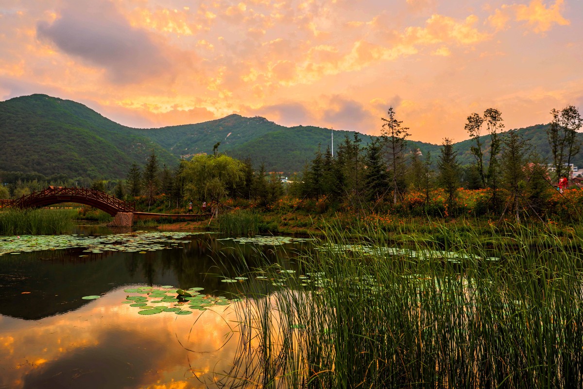 大连景区旅游攻略十大必去景点,大连金州区炮台镇有哪些景区