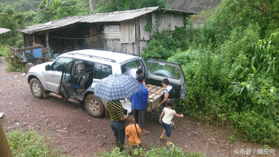 大狗黑色黄色,大狗黑灰色