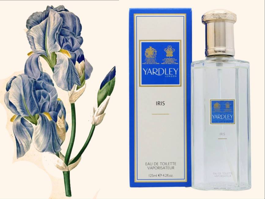 有哪些低价的大牌香水推荐,白菜香水在哪里