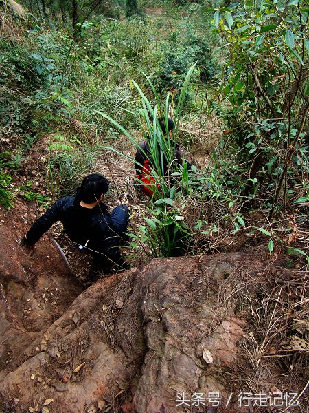 宜宾隐藏打卡地,乐山隐秘秘境