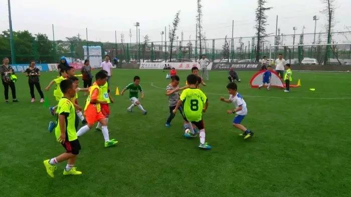 成都最爽看足球比赛的地方,成都凤凰山专业足球场看球攻略