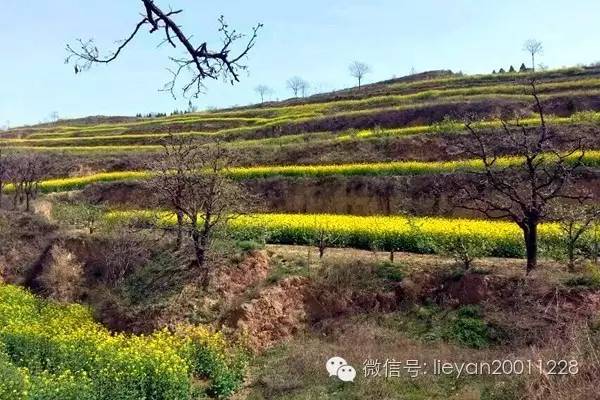 跨越千年时光看兵马俑,跨越千年唐十八陵