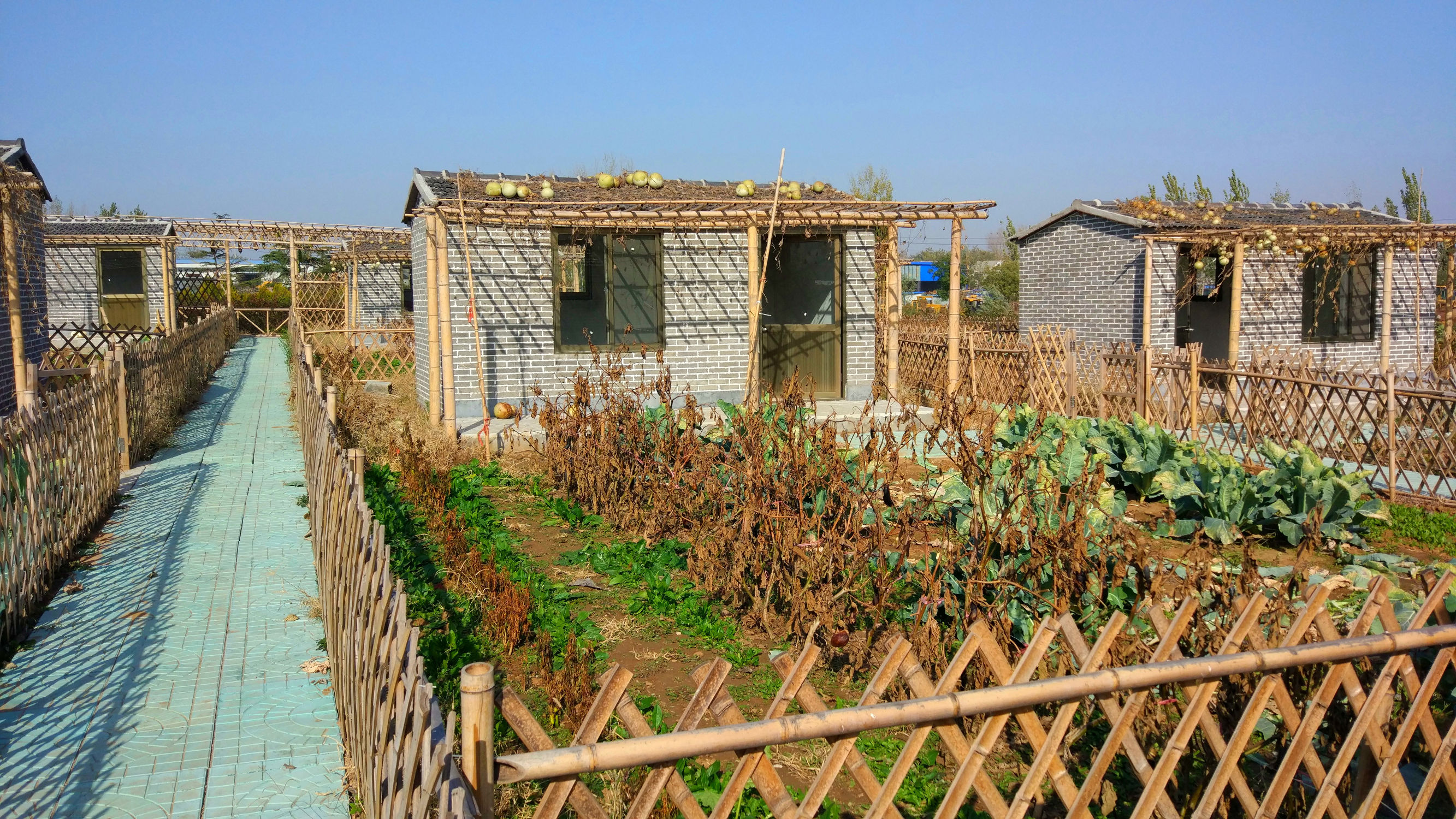 青州赤涧村数字乡村建设心得体会,青州弥河赤涧村