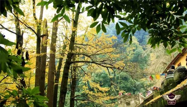 成都春季户外好去处,成都今年最火的地方在哪里