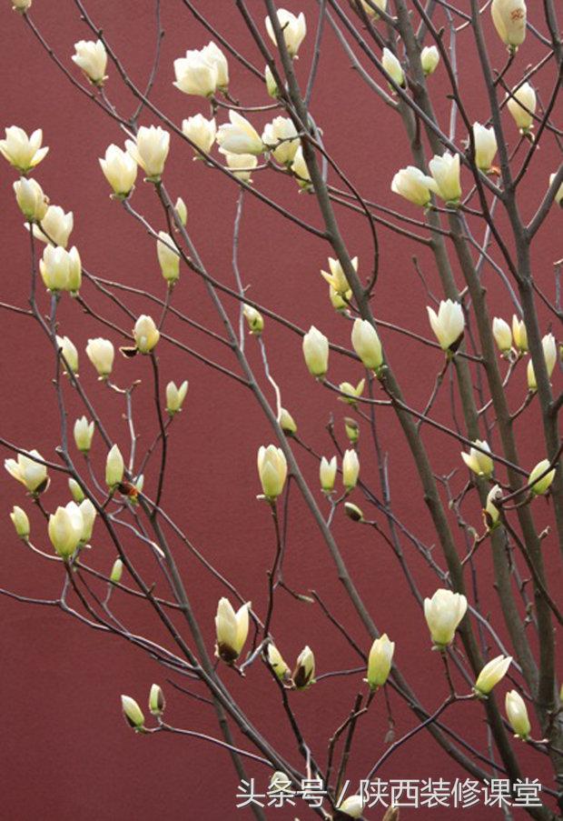 200平庭院花园轻奢,280平花园法式