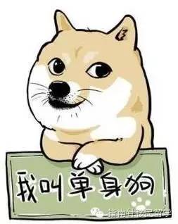 鍚勫浗鐣欏鐢熶紭鍔垮拰鍔ｅ娍,鍚勫浗鐣欏鐢熺浉浜蹭笌鐩哥埍