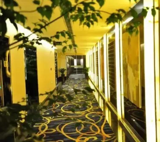 合肥最好的汗蒸生活馆在哪里,合肥最好的汗蒸馆