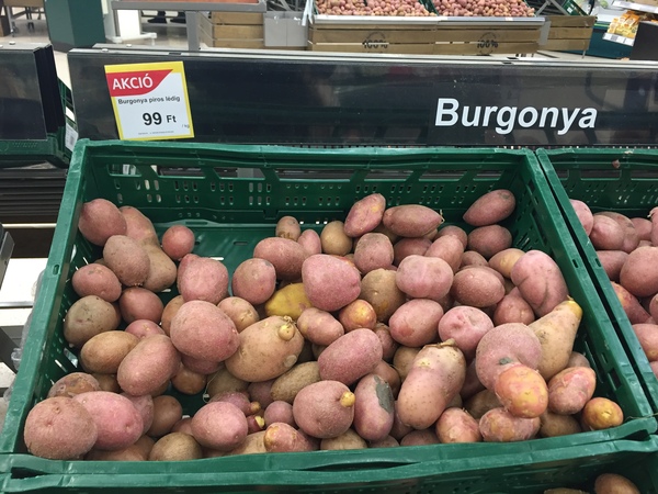 移民匈牙利布达佩斯,移民匈牙利谋生