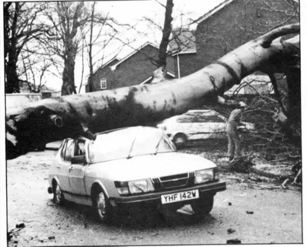 致萨博：我们为什么爱着一个已经死去的品牌？