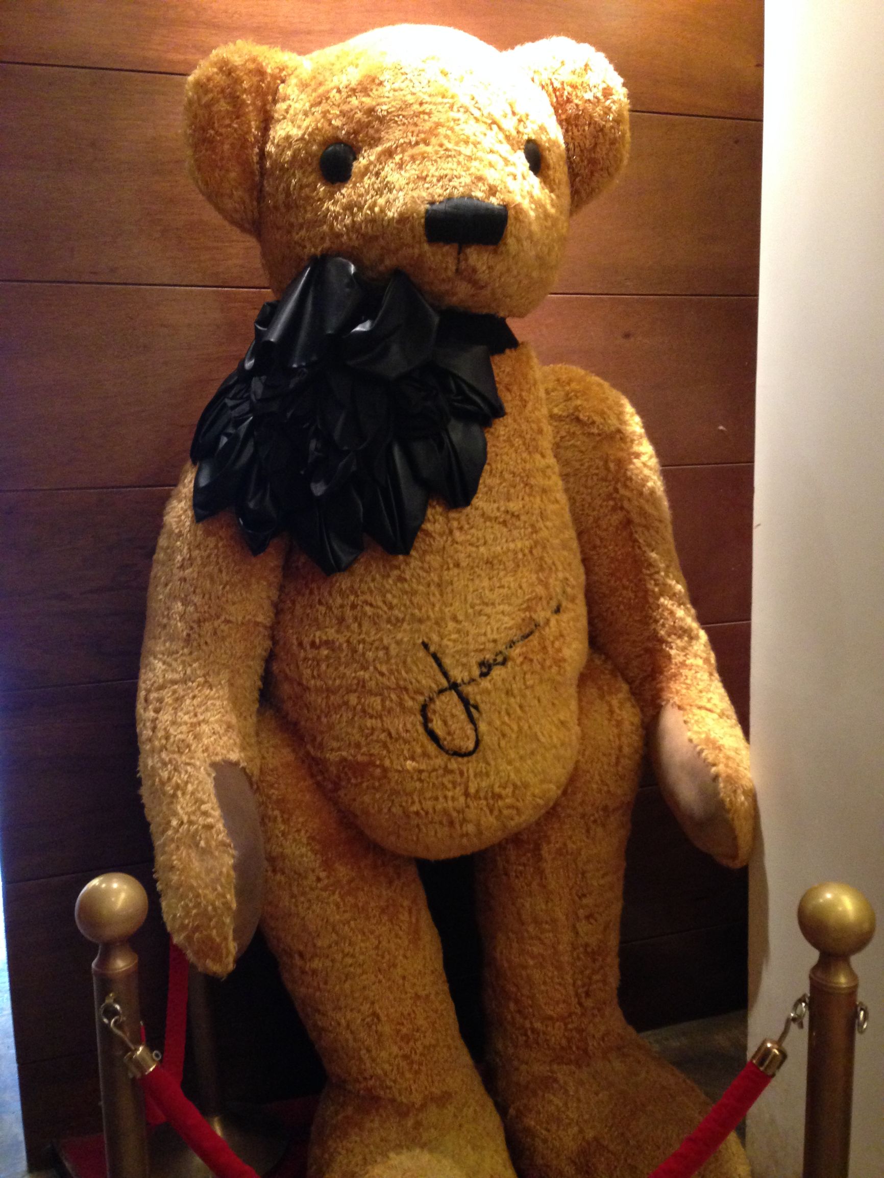 济州岛泰迪熊韩服,济州岛泰迪熊动物世界