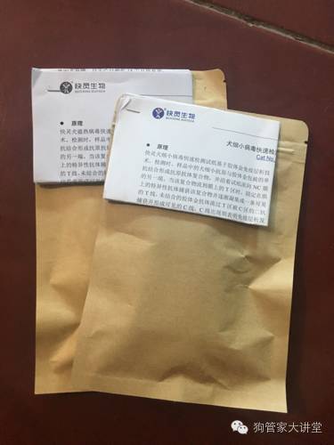 金毛从成年开始养,金毛养成