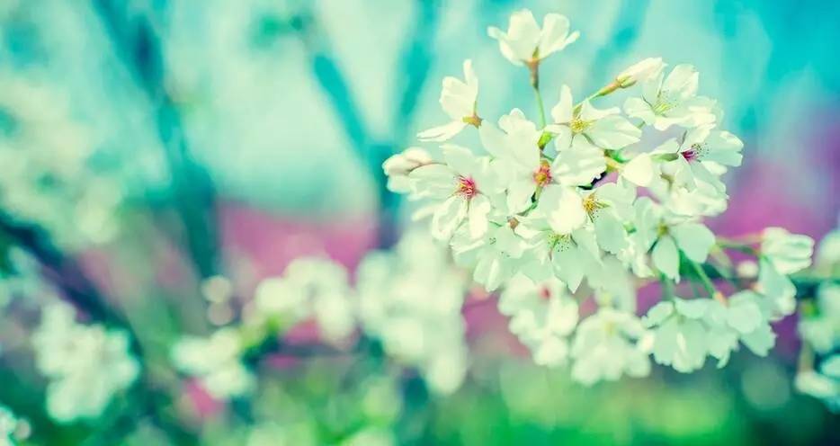 2023年新春祝福书书单,新春祝福书