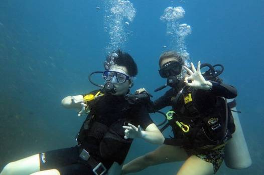 萌萌哒海狮空降海口，竟然还有这样的水上活动！