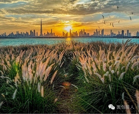 去了迪拜才知道有钱真重要,迪拜是世界上最有钱的地方吗