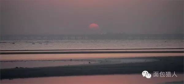 去了迪拜才知道有钱真重要,迪拜是世界上最有钱的地方吗