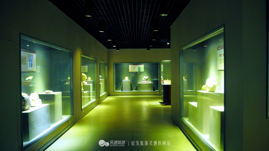 我若问自己客从何处来——浙*青江**田