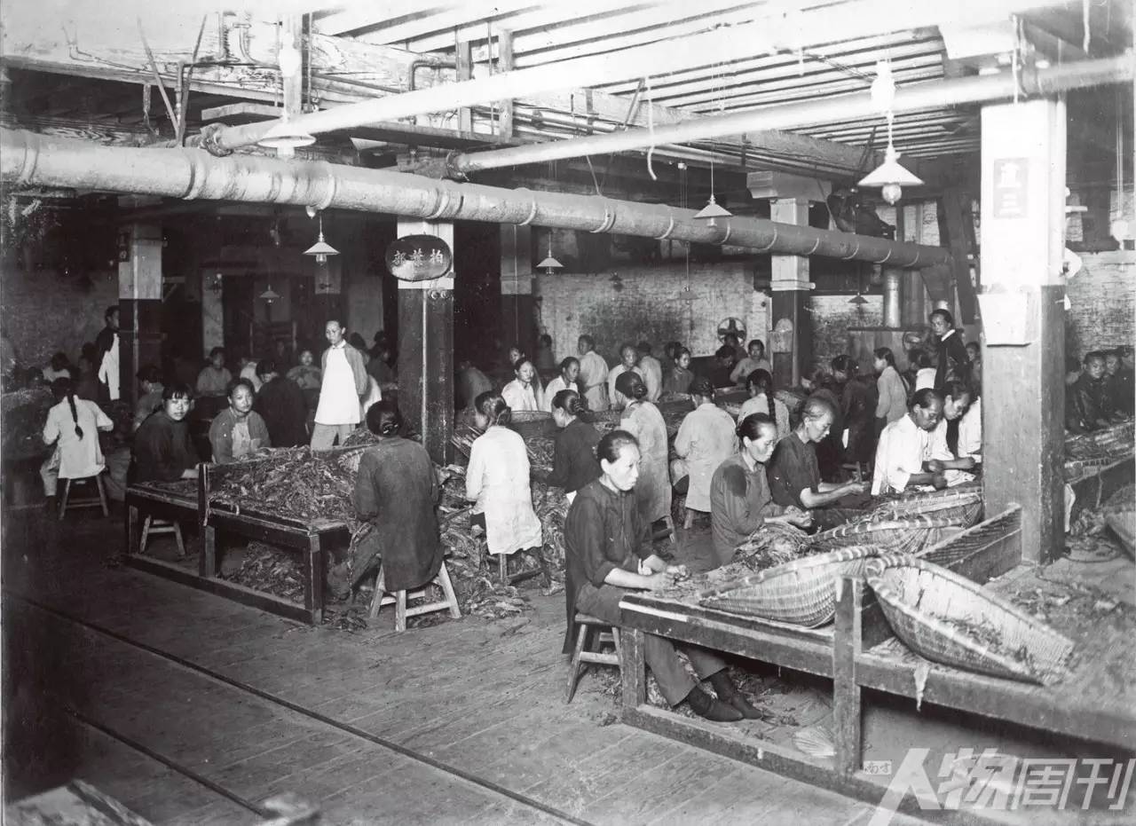 简氏兄弟,简氏兄弟简介