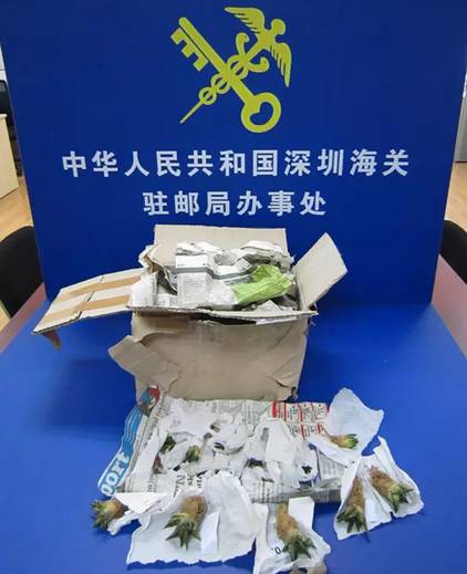 海关代购和走私界限,中国海关代购有风险吗