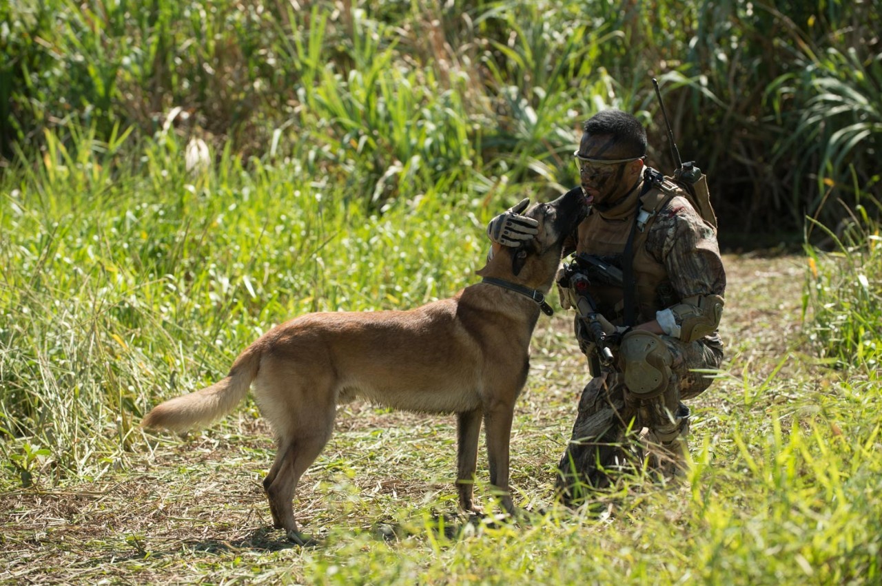 湄公河行动最劲爆的部分,湄公河行动介绍视频