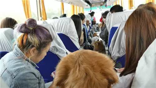 活动回顾｜欧帝亿主题巴士回顾--畅游幽谷神潭