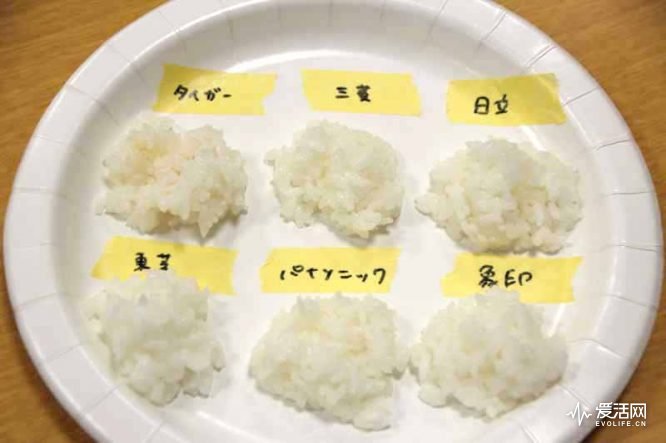 日本电饭煲测评排行,电饭煲哪个牌子的煮饭最好