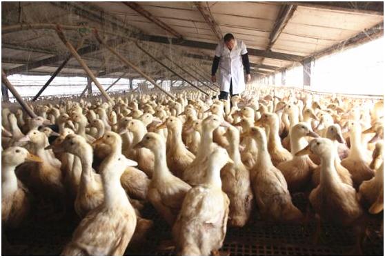 安泰银行上海,安泰银行贷款现状