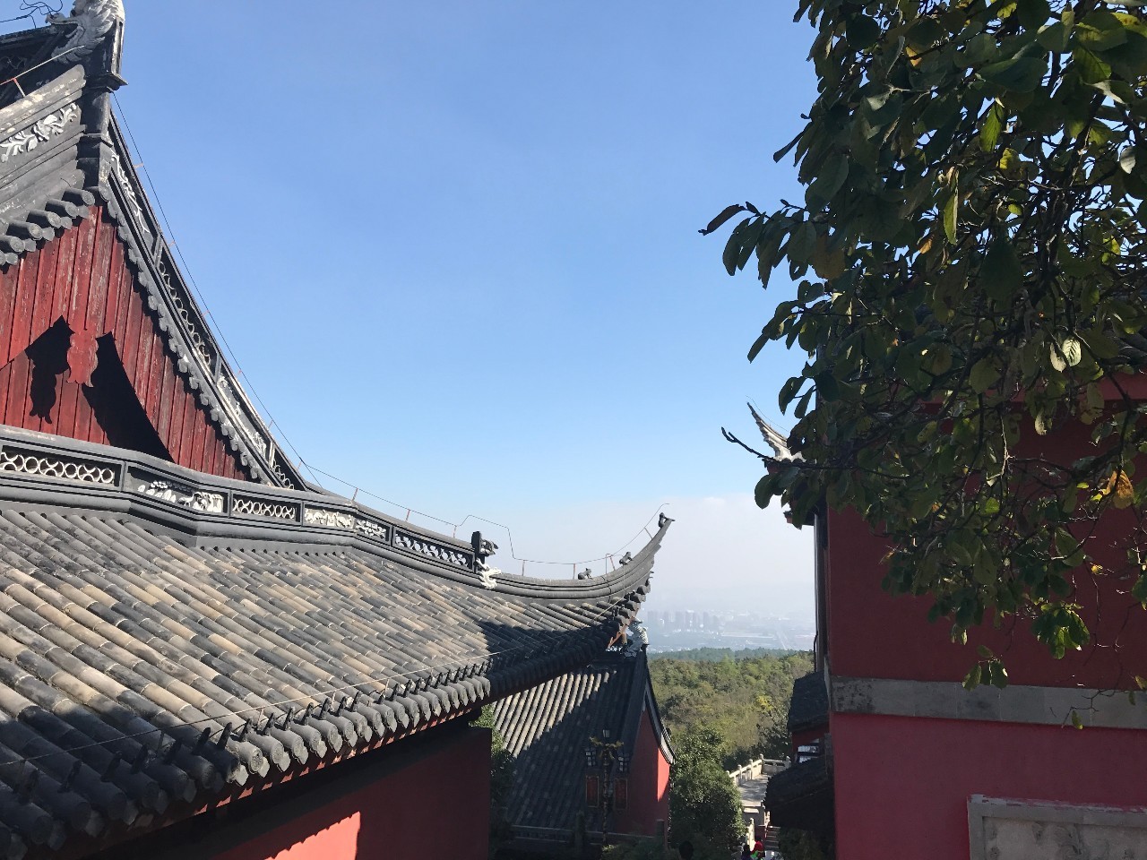 2016年岛国流行语大赏将花落谁家？