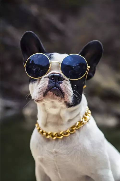 活动回顾｜欧帝亿主题巴士回顾--畅游幽谷神潭