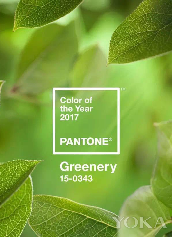 潘通2024年度色,潘通发布2023年度下半年流行颜色