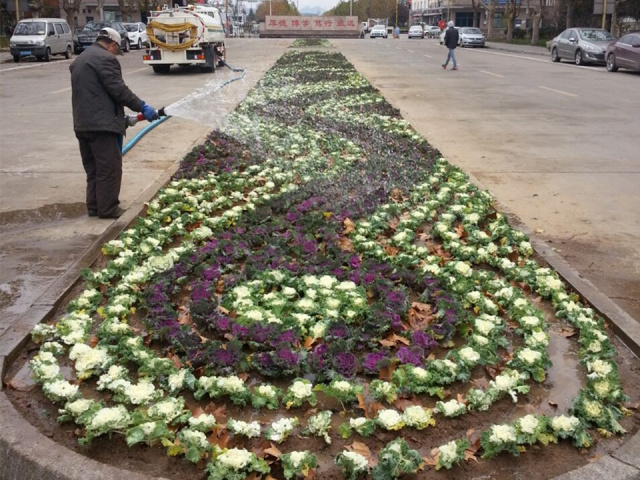 2020涓浗鍒涙柊鍒涗笟澶ц禌骞冲害,闈掑矝鍐滀笟澶у骞冲害鏍″尯棰佸鍏哥ぜ