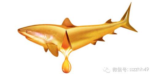 健身科普鱼油,健身对鱼油的需要有多少