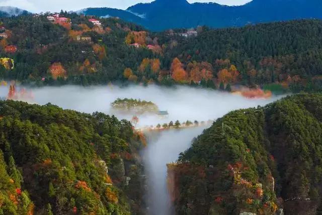 庐山情庐山恋,庐山恋背景