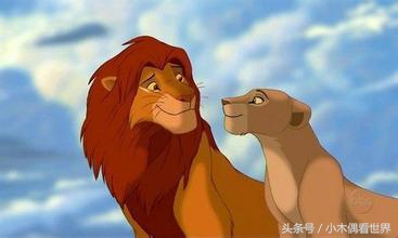 7080后的动画片大全集,7080年代美国动画片大全集