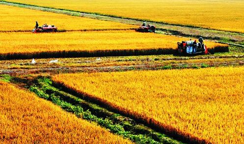 全国农垦最新消息,农垦改革重点工作会议